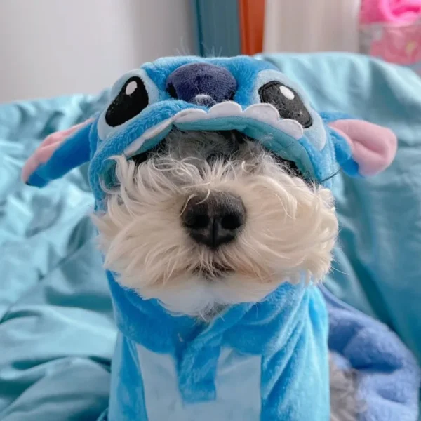 Cartoon Disney series Stitch new autumn and winter soft and comfortable, simple and fashionable, creative cute blue pet clothes - Image 3