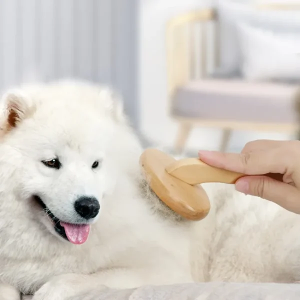 Dog Comb Wooden Handle Dog Brush Pet Grooming Comfortable Handle Combs for Cats Hair Knot Opening Dogs Hair Remover Pet Products - Image 4